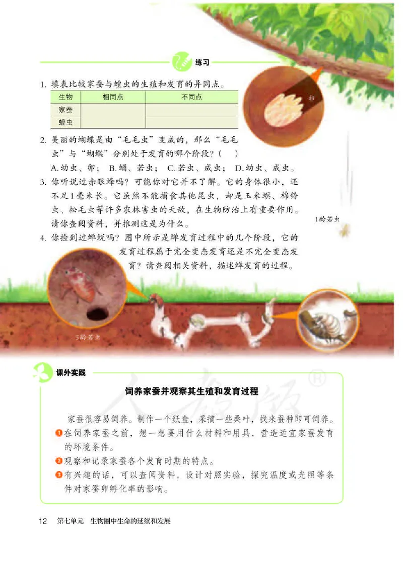 人教版8年级生物下册高清教材_4-教培资料-26年最新资料-同步更新_初中高中教资_03科三专项（进去保存报考的学科即可）_02科三专项（笔记真题思维导图教学设计版本二）