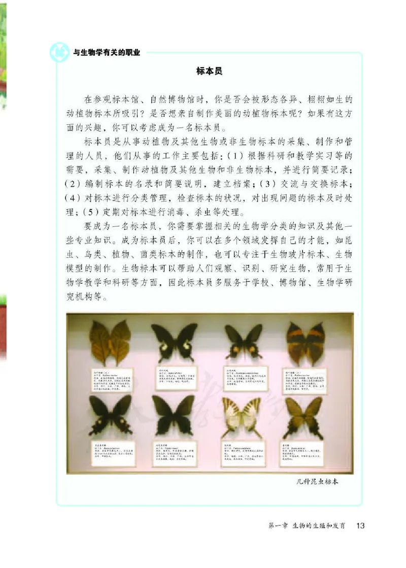 人教版8年级生物下册高清教材_4-教培资料-26年最新资料-同步更新_初中高中教资_03科三专项（进去保存报考的学科即可）_02科三专项（笔记真题思维导图教学设计版本二）