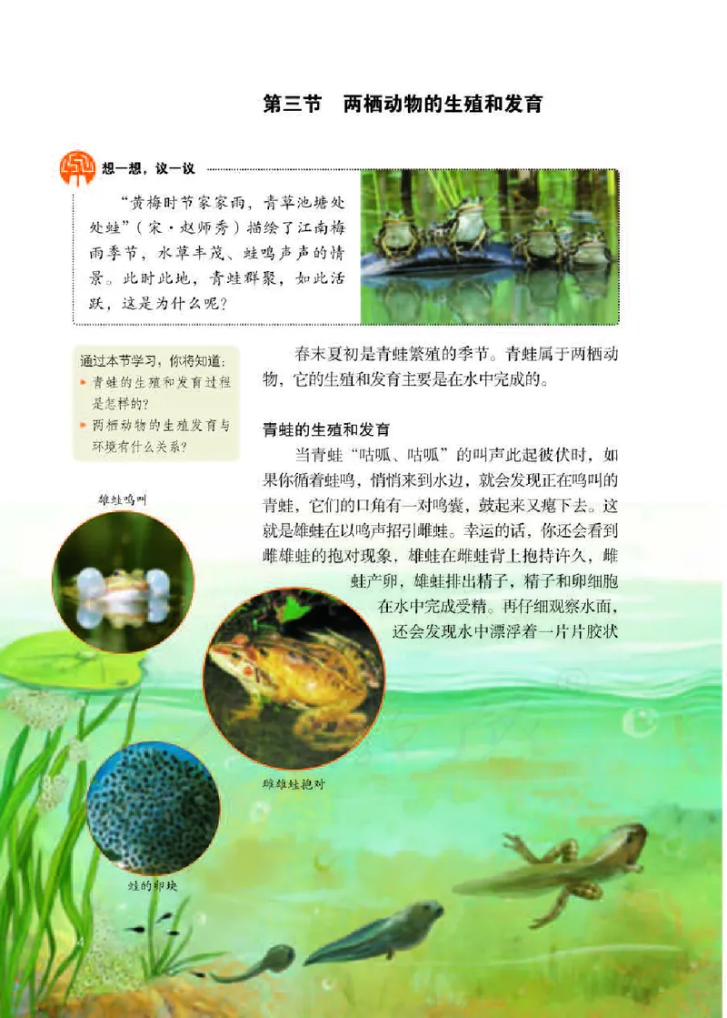 人教版8年级生物下册高清教材_4-教培资料-26年最新资料-同步更新_初中高中教资_03科三专项（进去保存报考的学科即可）_02科三专项（笔记真题思维导图教学设计版本二）