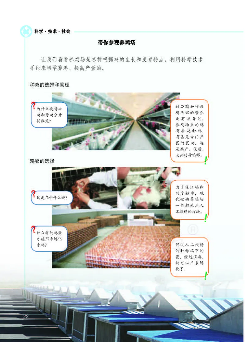 人教版8年级生物下册高清教材_4-教培资料-26年最新资料-同步更新_初中高中教资_03科三专项（进去保存报考的学科即可）_02科三专项（笔记真题思维导图教学设计版本二）