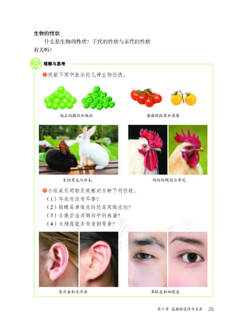 人教版8年级生物下册高清教材_4-教培资料-26年最新资料-同步更新_初中高中教资_03科三专项（进去保存报考的学科即可）_02科三专项（笔记真题思维导图教学设计版本二）