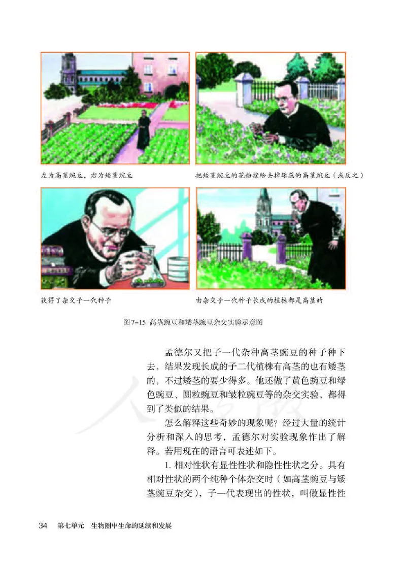 人教版8年级生物下册高清教材_4-教培资料-26年最新资料-同步更新_初中高中教资_03科三专项（进去保存报考的学科即可）_02科三专项（笔记真题思维导图教学设计版本二）