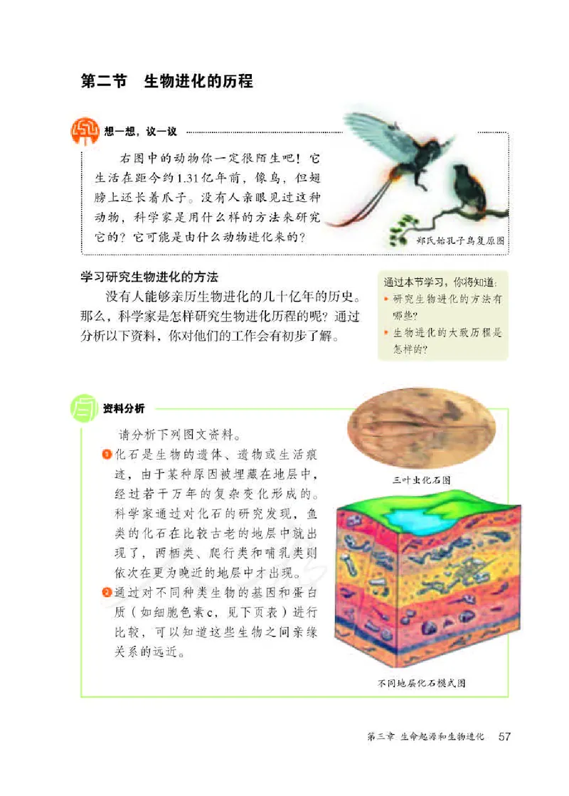 人教版8年级生物下册高清教材_4-教培资料-26年最新资料-同步更新_初中高中教资_03科三专项（进去保存报考的学科即可）_02科三专项（笔记真题思维导图教学设计版本二）