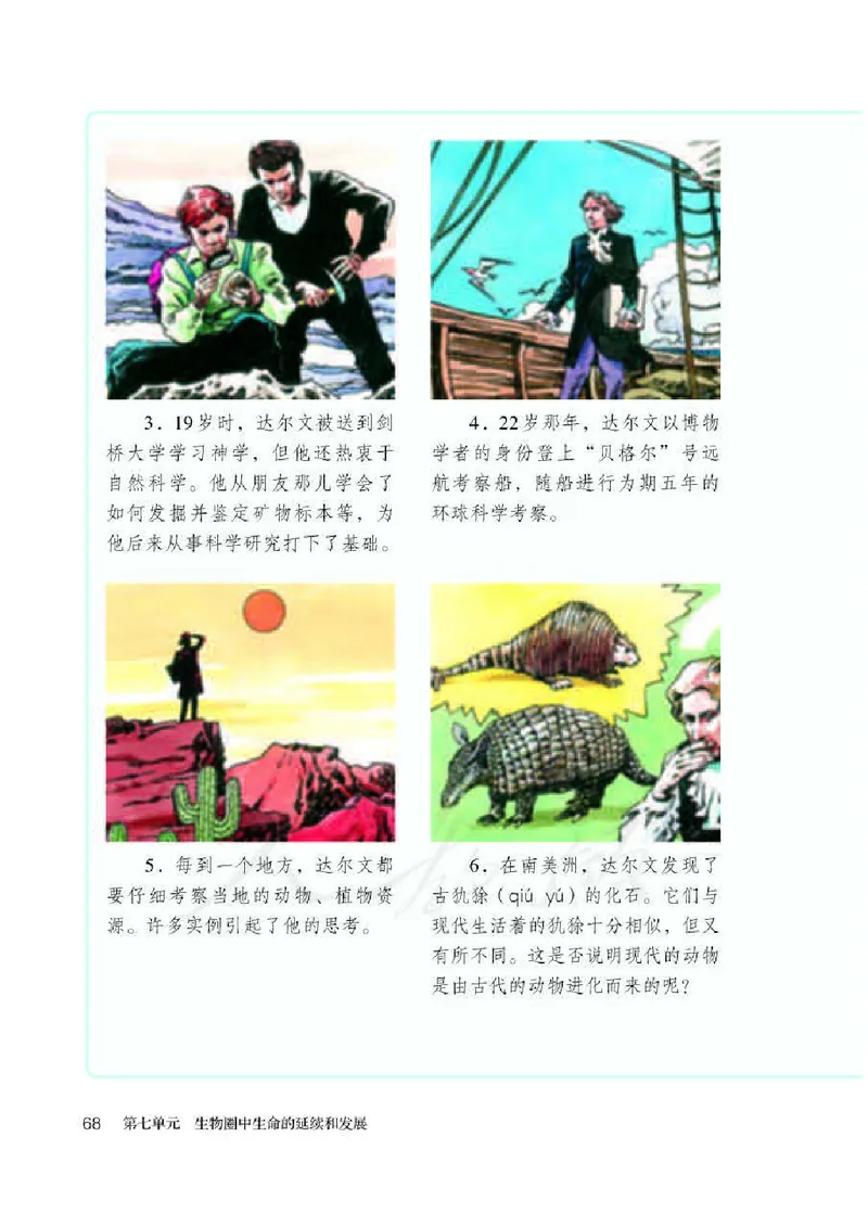 人教版8年级生物下册高清教材_4-教培资料-26年最新资料-同步更新_初中高中教资_03科三专项（进去保存报考的学科即可）_02科三专项（笔记真题思维导图教学设计版本二）
