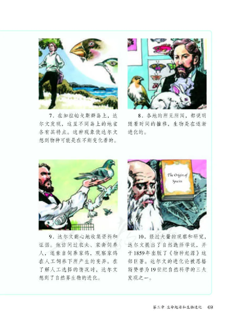 人教版8年级生物下册高清教材_4-教培资料-26年最新资料-同步更新_初中高中教资_03科三专项（进去保存报考的学科即可）_02科三专项（笔记真题思维导图教学设计版本二）