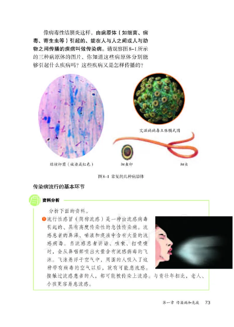 人教版8年级生物下册高清教材_4-教培资料-26年最新资料-同步更新_初中高中教资_03科三专项（进去保存报考的学科即可）_02科三专项（笔记真题思维导图教学设计版本二）