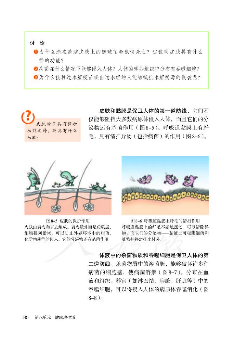 人教版8年级生物下册高清教材_4-教培资料-26年最新资料-同步更新_初中高中教资_03科三专项（进去保存报考的学科即可）_02科三专项（笔记真题思维导图教学设计版本二）