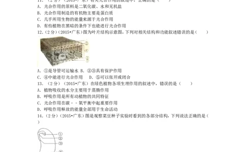 2015广东省中考生物真题及答案_中考真题_8.生物中考真题2015-2024年_地区卷_广东中考生物11-22