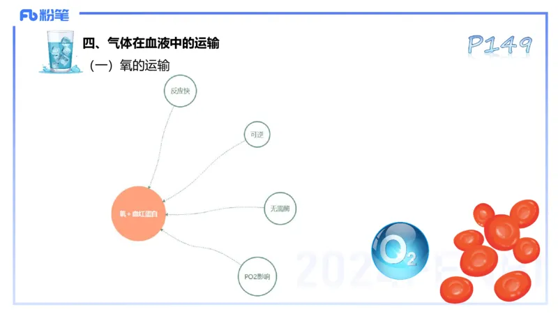 25上理论精讲&mdash;运动生理学3-陈晶晶_4-教培资料-26年最新资料-同步更新_初中高中教资_03科三专项（进去保存报考的学科即可）_初中_初中体育-通关资料包_3.课程FB系统班课程