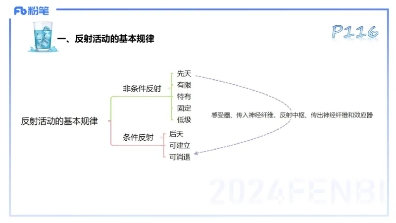 25上理论精讲&mdash;运动生理学3-陈晶晶_4-教培资料-26年最新资料-同步更新_初中高中教资_03科三专项（进去保存报考的学科即可）_初中_初中体育-通关资料包_3.课程FB系统班课程