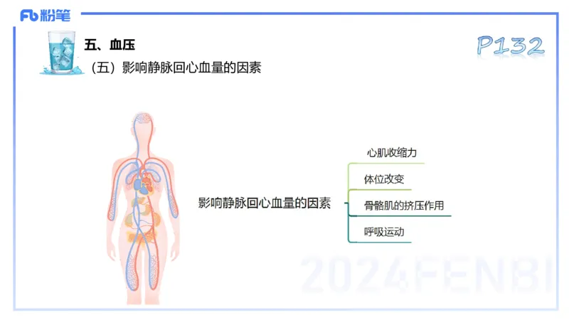 25上理论精讲&mdash;运动生理学3-陈晶晶_4-教培资料-26年最新资料-同步更新_初中高中教资_03科三专项（进去保存报考的学科即可）_初中_初中体育-通关资料包_3.课程FB系统班课程