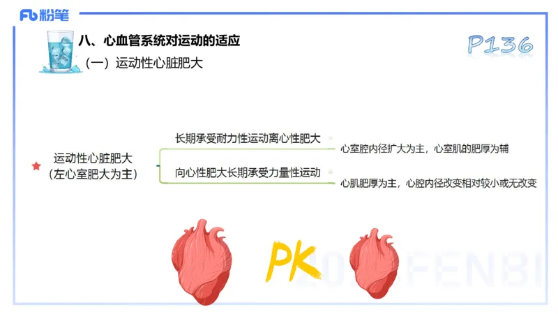 25上理论精讲&mdash;运动生理学3-陈晶晶_4-教培资料-26年最新资料-同步更新_初中高中教资_03科三专项（进去保存报考的学科即可）_初中_初中体育-通关资料包_3.课程FB系统班课程