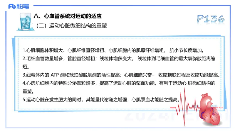 25上理论精讲&mdash;运动生理学3-陈晶晶_4-教培资料-26年最新资料-同步更新_初中高中教资_03科三专项（进去保存报考的学科即可）_初中_初中体育-通关资料包_3.课程FB系统班课程
