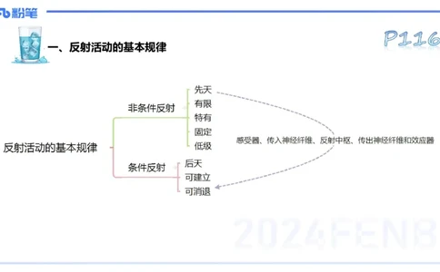 25上理论精讲&mdash;运动生理学3-陈晶晶_4-教培资料-26年最新资料-同步更新_初中高中教资_03科三专项（进去保存报考的学科即可）_初中_初中体育-通关资料包_3.课程FB系统班课程