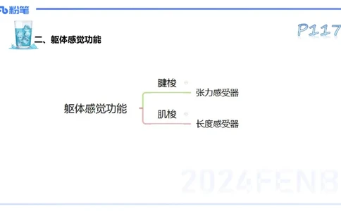 25上理论精讲&mdash;运动生理学3-陈晶晶_4-教培资料-26年最新资料-同步更新_初中高中教资_03科三专项（进去保存报考的学科即可）_初中_初中体育-通关资料包_3.课程FB系统班课程