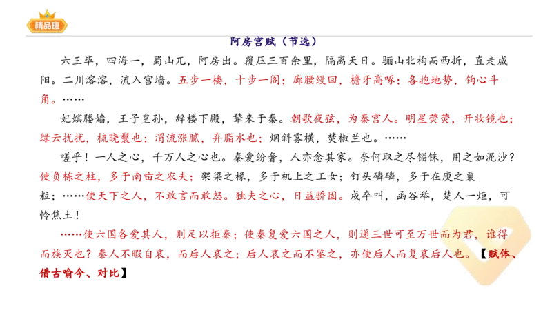 24下-教资系统班-中外文学5-毕小象_4-教培资料-26年最新资料-同步更新_初中高中教资_03科三专项（进去保存报考的学科即可）_01科目三FB网课、三色速记手册、知识点导图等推荐
