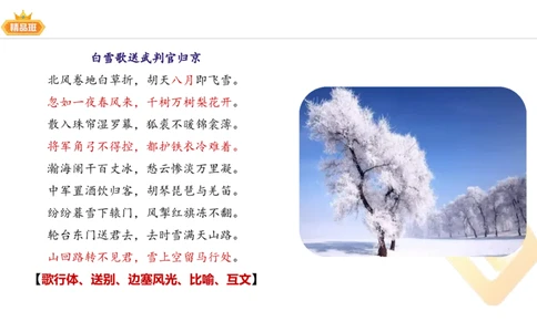 24下-教资系统班-中外文学5-毕小象_4-教培资料-26年最新资料-同步更新_初中高中教资_03科三专项（进去保存报考的学科即可）_01科目三FB网课、三色速记手册、知识点导图等推荐