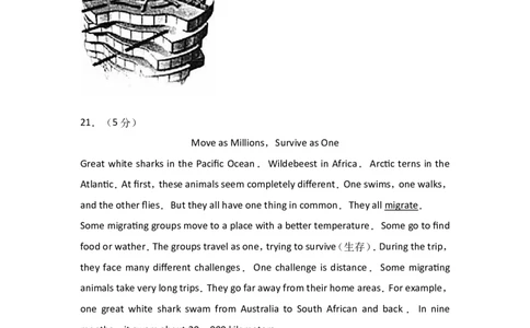 2016年威海中考英语试题及答案_中考真题_3.英语中考真题2015-2024年_地区卷_山东省_山东威海英语10-21