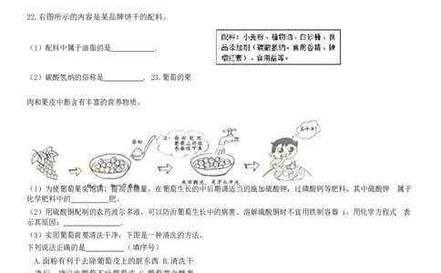 2017北京市中考化学真题及答案_中考真题_5.化学中考真题2015-2024年_地区卷_北京化学05-21