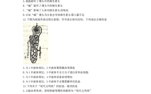 2017年威海市中考生物试题及答案_中考真题_8.生物中考真题2015-2024年_地区卷_山东省_山东威海生物12-20