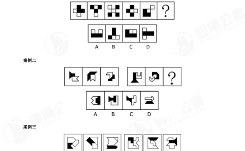 百大图推精品班讲义_2026考公资料_（01）花生十三_（02）龙飞_2025龙飞资料_基础课2025龙飞百大图形推理精讲精练_电子讲义