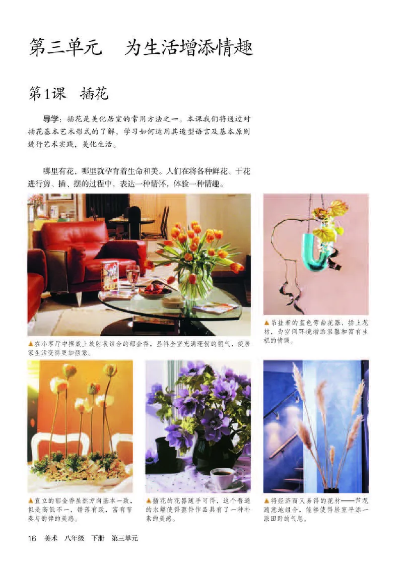 人教版8年级美术下册高清教材_4-教培资料-26年最新资料-同步更新_初中高中教资_03科三专项（进去保存报考的学科即可）_02科三专项（笔记真题思维导图教学设计版本二）