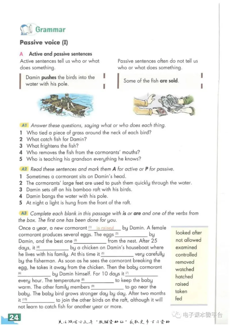九年级上册英语上海牛津版电子课本_4-教培资料-26年最新资料-同步更新_初中高中教资_03科三专项（进去保存报考的学科即可）_02科三专项（笔记真题思维导图教学设计版本二）