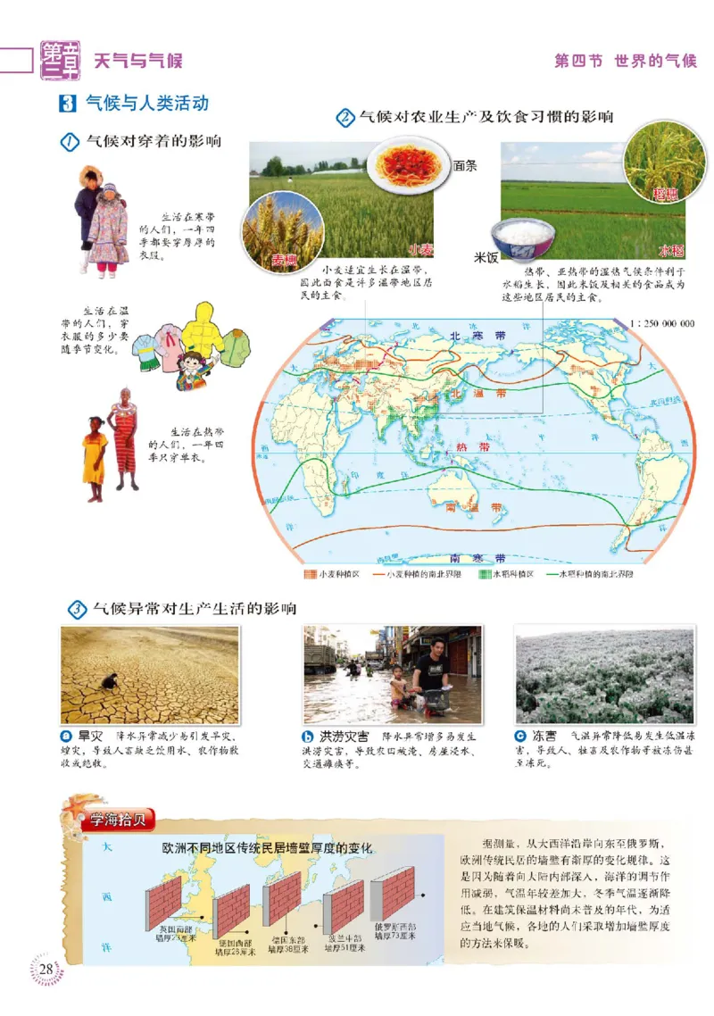 人教版7年级地理上册地理图册_4-教培资料-26年最新资料-同步更新_初中高中教资_03科三专项（进去保存报考的学科即可）_02科三专项（笔记真题思维导图教学设计版本二）