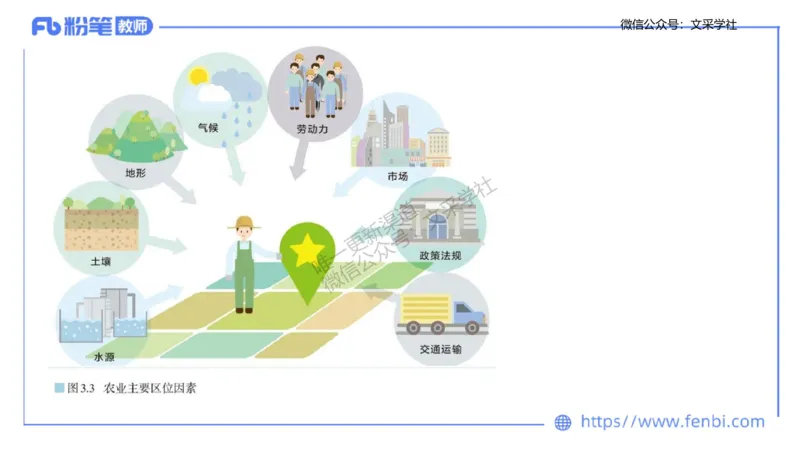 主观专项2-绘图题莬姜_4-教培资料-26年最新资料-同步更新_初中高中教资_03科三专项（进去保存报考的学科即可）_01科目三FB网课、三色速记手册、知识点导图等推荐_初中_讲义
