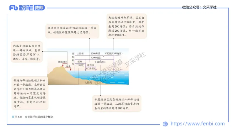 主观专项2-绘图题莬姜_4-教培资料-26年最新资料-同步更新_初中高中教资_03科三专项（进去保存报考的学科即可）_01科目三FB网课、三色速记手册、知识点导图等推荐_初中_讲义