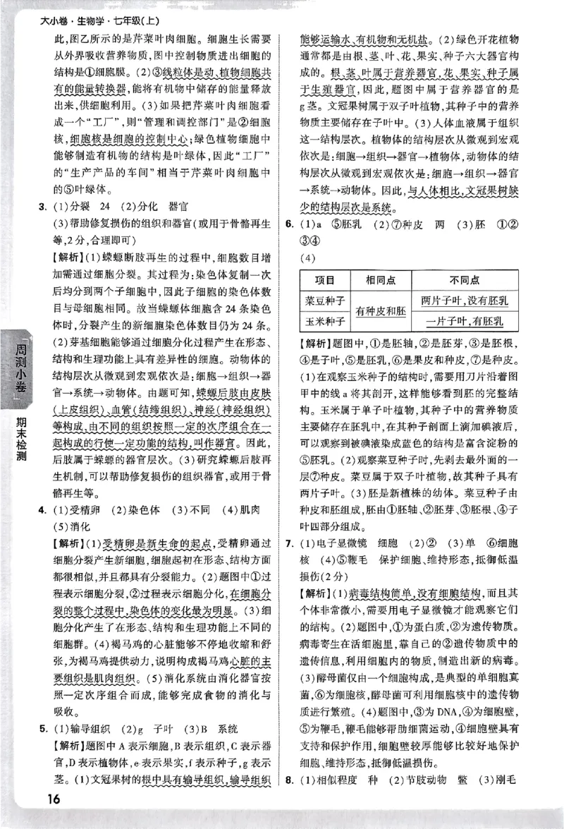 2026《万唯大小卷&bull;生物》7上参考答案(RJ)_2026万唯系列预习复习_2026版初中《万唯大小卷》7年级上册（全科多版本）_2026《万唯大小卷&bull;生物》7上(RJ)
