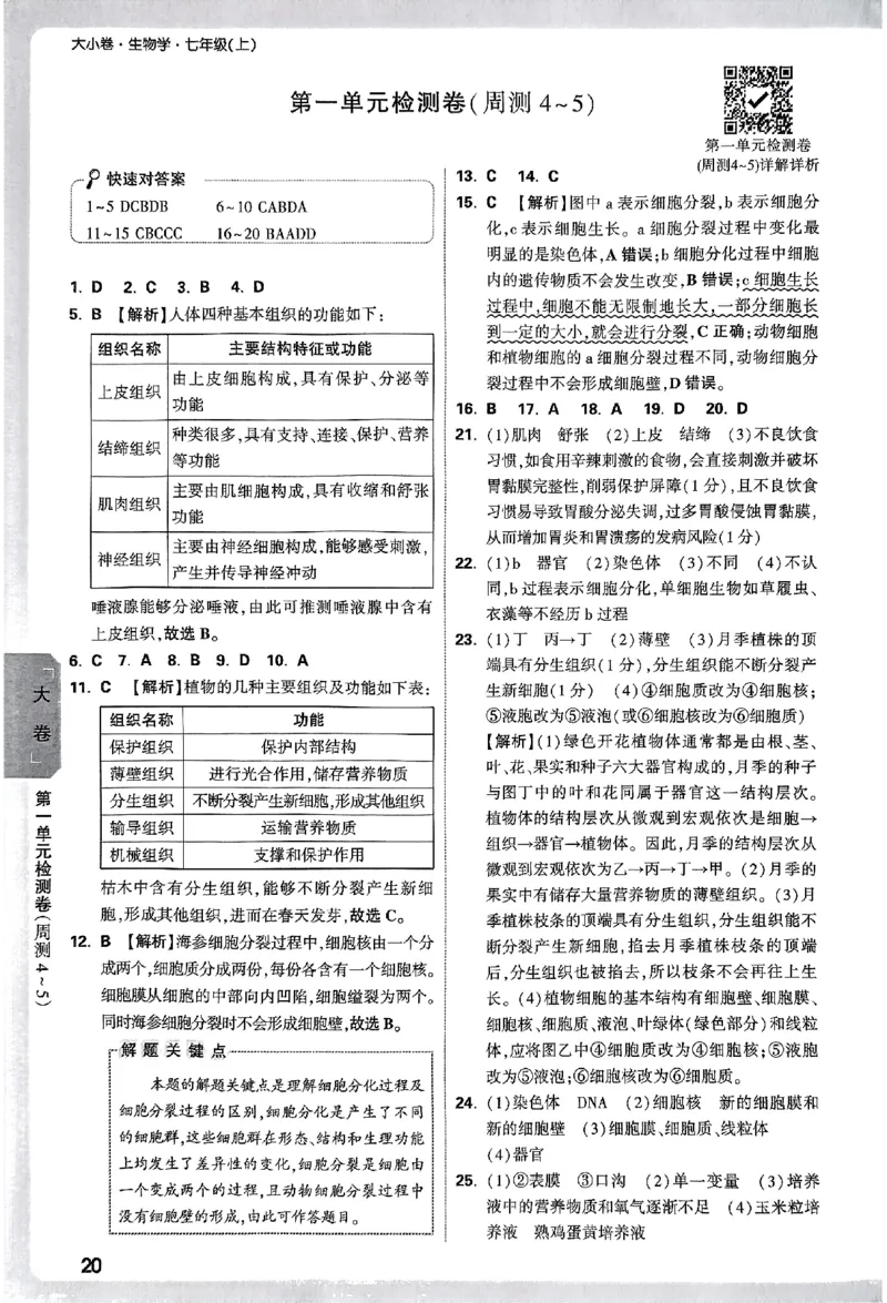 2026《万唯大小卷&bull;生物》7上参考答案(RJ)_2026万唯系列预习复习_2026版初中《万唯大小卷》7年级上册（全科多版本）_2026《万唯大小卷&bull;生物》7上(RJ)