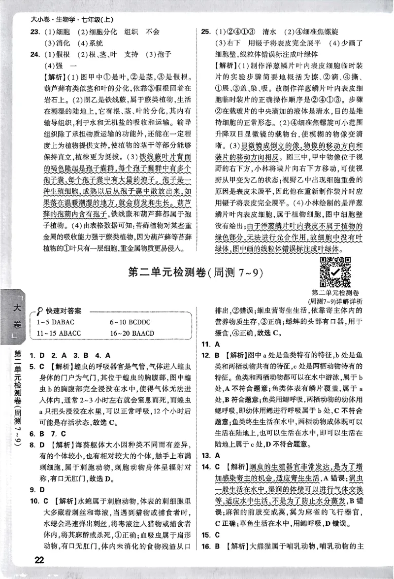 2026《万唯大小卷&bull;生物》7上参考答案(RJ)_2026万唯系列预习复习_2026版初中《万唯大小卷》7年级上册（全科多版本）_2026《万唯大小卷&bull;生物》7上(RJ)