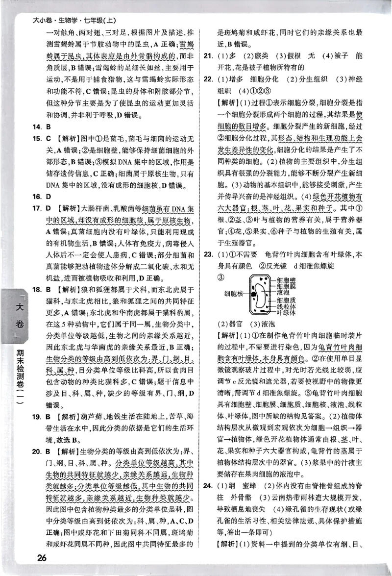 2026《万唯大小卷&bull;生物》7上参考答案(RJ)_2026万唯系列预习复习_2026版初中《万唯大小卷》7年级上册（全科多版本）_2026《万唯大小卷&bull;生物》7上(RJ)