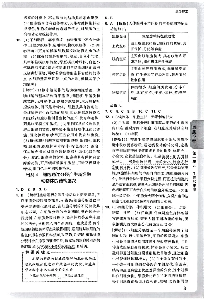 2026《万唯大小卷&bull;生物》7上参考答案(RJ)_2026万唯系列预习复习_2026版初中《万唯大小卷》7年级上册（全科多版本）_2026《万唯大小卷&bull;生物》7上(RJ)