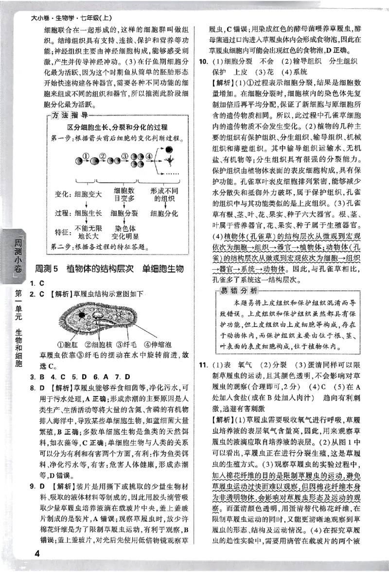 2026《万唯大小卷&bull;生物》7上参考答案(RJ)_2026万唯系列预习复习_2026版初中《万唯大小卷》7年级上册（全科多版本）_2026《万唯大小卷&bull;生物》7上(RJ)