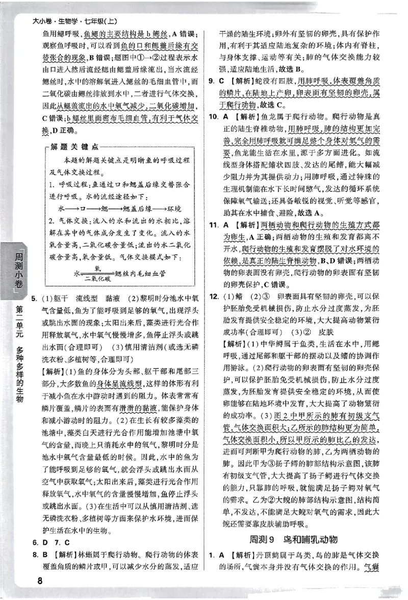 2026《万唯大小卷&bull;生物》7上参考答案(RJ)_2026万唯系列预习复习_2026版初中《万唯大小卷》7年级上册（全科多版本）_2026《万唯大小卷&bull;生物》7上(RJ)