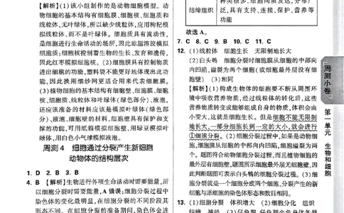 2026《万唯大小卷&bull;生物》7上参考答案(RJ)_2026万唯系列预习复习_2026版初中《万唯大小卷》7年级上册（全科多版本）_2026《万唯大小卷&bull;生物》7上(RJ)