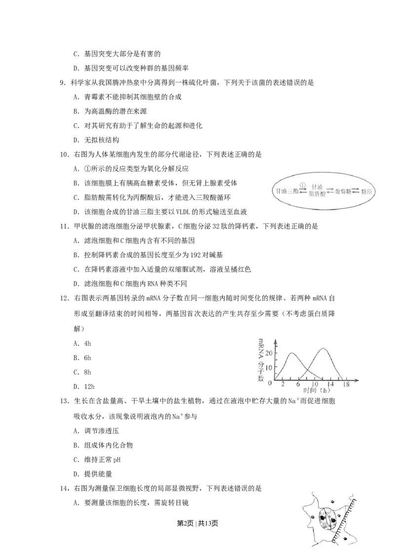 2011年高考生物试卷（上海）（空白卷）_1.高考2025全国各省真题+答案_01.2008-2024全国高考真题（按省份分类）_31.上海_2008-2022&middot;（上海）生物高考真题