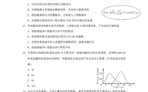 2011年高考生物试卷（上海）（空白卷）_1.高考2025全国各省真题+答案_01.2008-2024全国高考真题（按省份分类）_31.上海_2008-2022&middot;（上海）生物高考真题