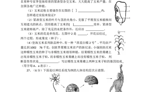 2013烟台市中考生物试题及答案(word版)_中考真题_8.生物中考真题2015-2024年_地区卷_山东省_烟台中考生物08-22