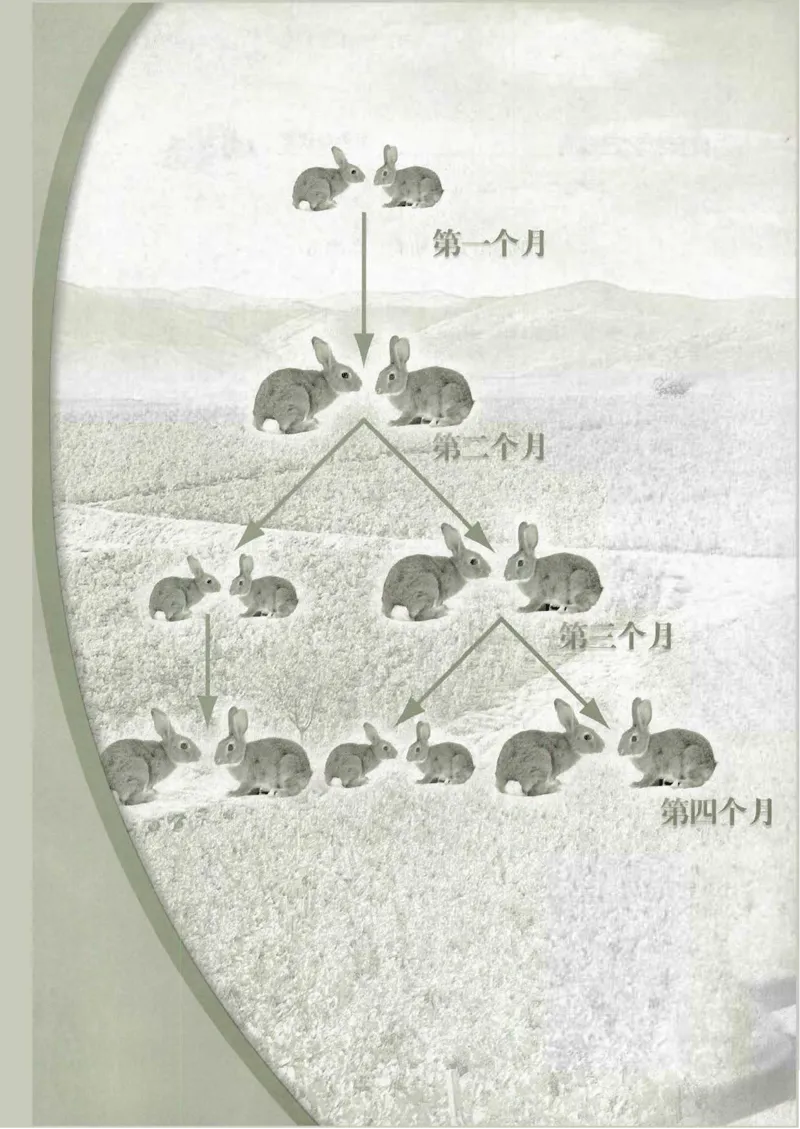 人教B版高中数学必修5_4-教培资料-26年最新资料-同步更新_初中高中教资_03科三专项（进去保存报考的学科即可）_02科三专项（笔记真题思维导图教学设计版本二）