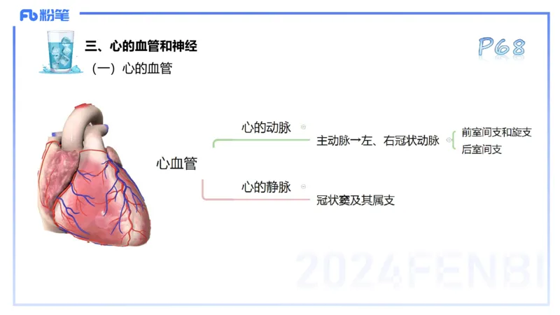 25上理论精讲&mdash;运动解剖学5-陈晶晶_4-教培资料-26年最新资料-同步更新_初中高中教资_03科三专项（进去保存报考的学科即可）_初中_初中体育-通关资料包_3.课程FB系统班课程