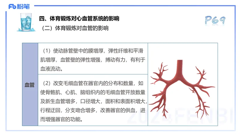 25上理论精讲&mdash;运动解剖学5-陈晶晶_4-教培资料-26年最新资料-同步更新_初中高中教资_03科三专项（进去保存报考的学科即可）_初中_初中体育-通关资料包_3.课程FB系统班课程