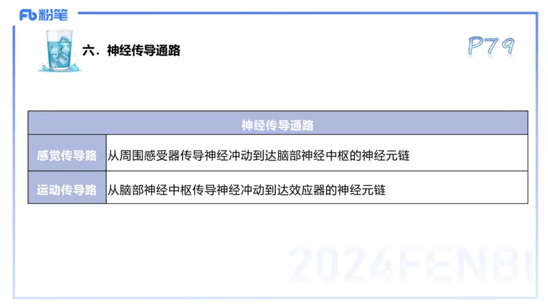 25上理论精讲&mdash;运动解剖学5-陈晶晶_4-教培资料-26年最新资料-同步更新_初中高中教资_03科三专项（进去保存报考的学科即可）_初中_初中体育-通关资料包_3.课程FB系统班课程