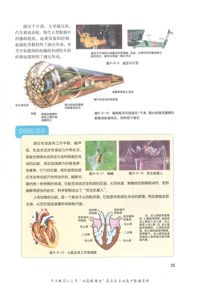九年级上册物理沪教版电子课本_4-教培资料-26年最新资料-同步更新_初中高中教资_03科三专项（进去保存报考的学科即可）_02科三专项（笔记真题思维导图教学设计版本二）