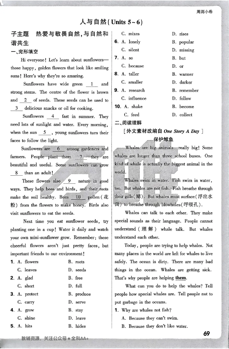 2026《万唯大小卷&bull;英语》7上周测小卷(WY)_2026万唯系列预习复习_2026版初中《万唯大小卷》7年级上册（全科多版本）_2026《万唯大小卷&bull;英语》7上(WY)