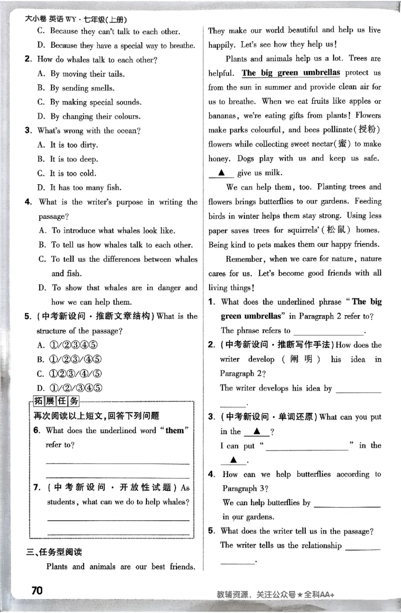 2026《万唯大小卷&bull;英语》7上周测小卷(WY)_2026万唯系列预习复习_2026版初中《万唯大小卷》7年级上册（全科多版本）_2026《万唯大小卷&bull;英语》7上(WY)