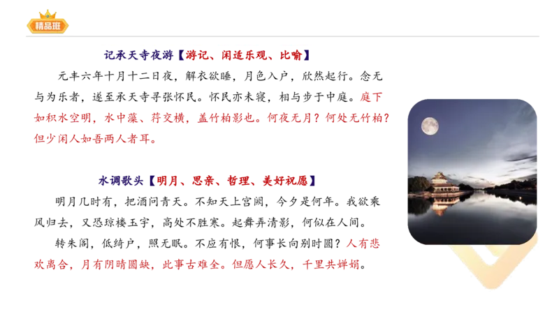 24下-教资系统班-中外文学7-毕小象_4-教培资料-26年最新资料-同步更新_初中高中教资_03科三专项（进去保存报考的学科即可）_01科目三FB网课、三色速记手册、知识点导图等推荐