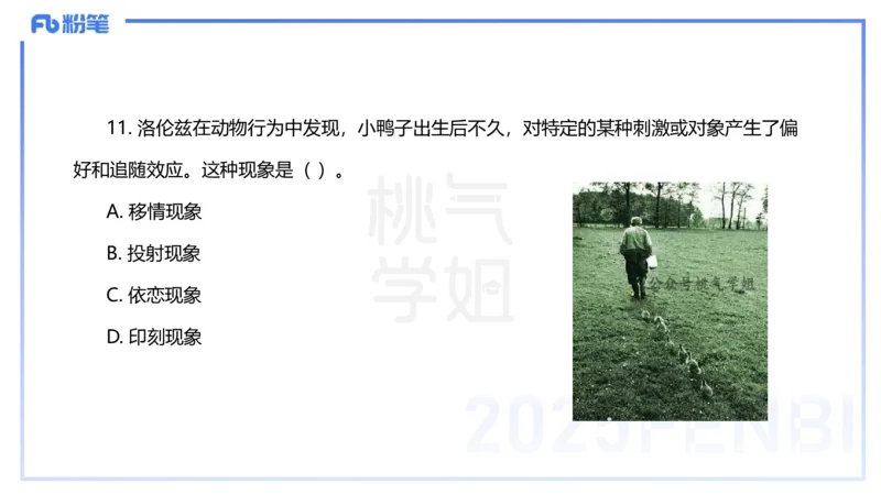 25下教育教学知识与能力历年珍题1-开海玲_4-教培资料-26年最新资料-同步更新_小学教资_012025下FB小学系统班_小学25下-教育知识与能力_3.历年真题_讲义